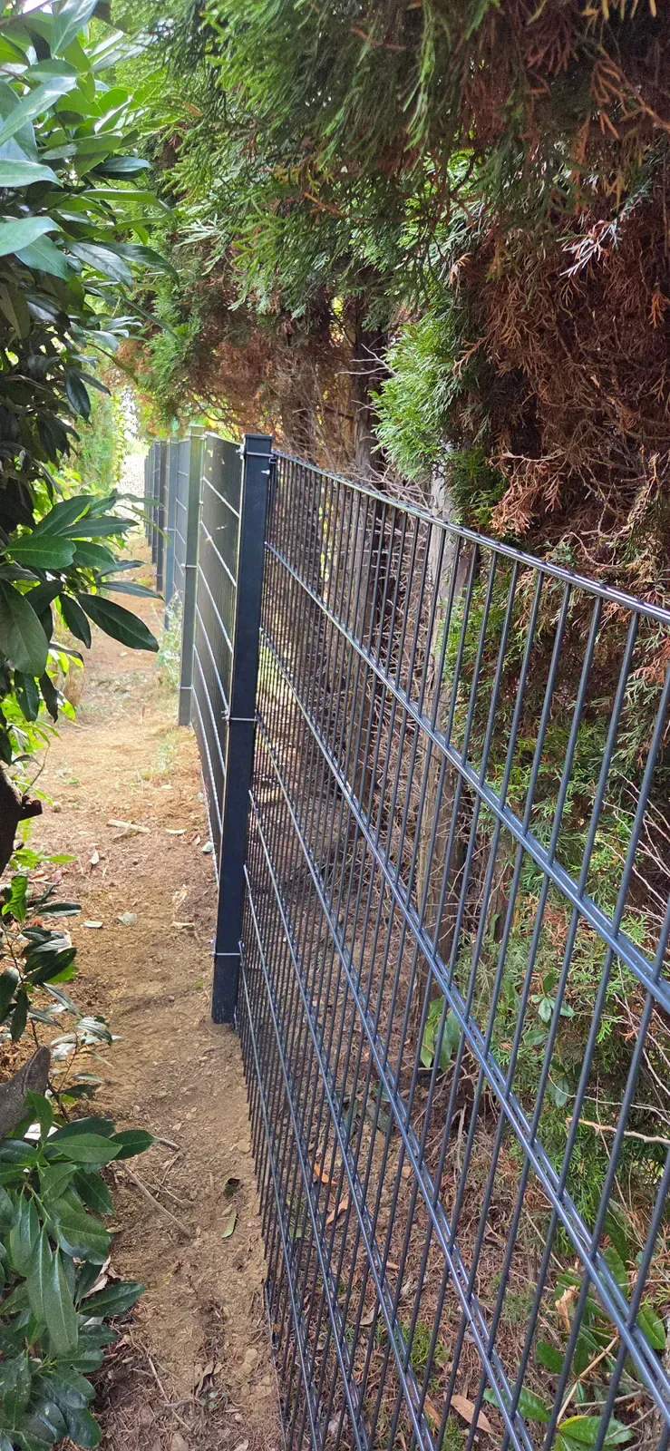 Zaunmatten folgen dem Geländeverlauf am Hang entlang einer Hecke in Usingen